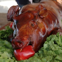 Whole Hog |  
